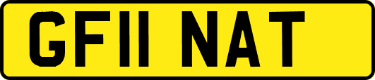 GF11NAT