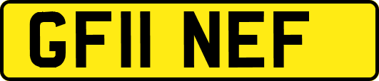 GF11NEF