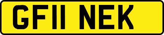 GF11NEK