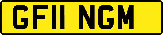 GF11NGM