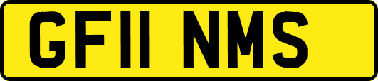 GF11NMS