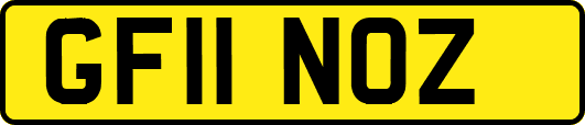 GF11NOZ