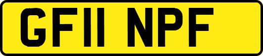 GF11NPF