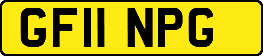 GF11NPG