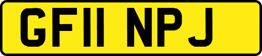 GF11NPJ