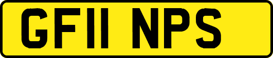 GF11NPS