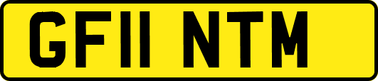 GF11NTM
