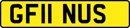 GF11NUS