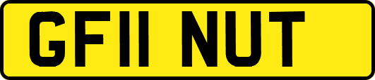 GF11NUT