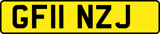 GF11NZJ