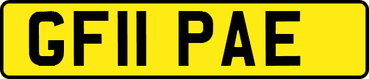 GF11PAE