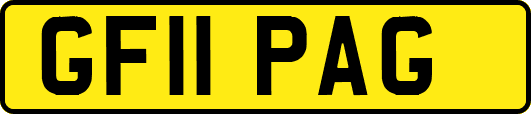 GF11PAG
