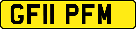 GF11PFM