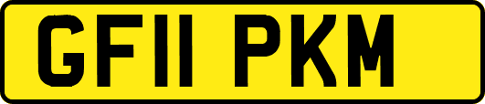 GF11PKM