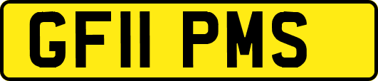 GF11PMS