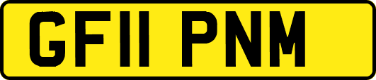 GF11PNM
