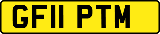 GF11PTM