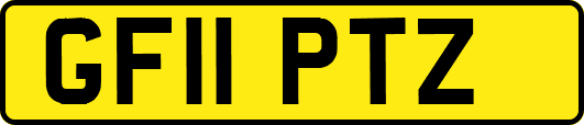 GF11PTZ