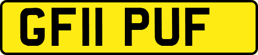 GF11PUF