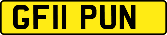 GF11PUN