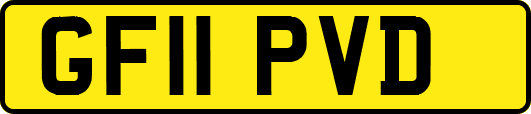 GF11PVD