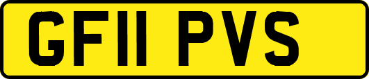GF11PVS