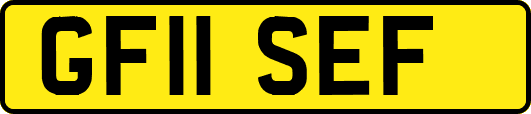 GF11SEF