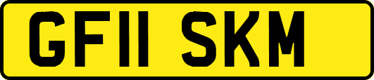GF11SKM
