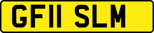 GF11SLM
