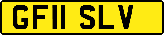 GF11SLV
