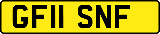 GF11SNF