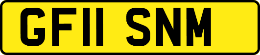 GF11SNM