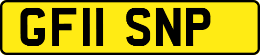 GF11SNP
