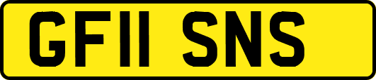 GF11SNS