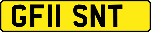 GF11SNT