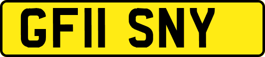 GF11SNY