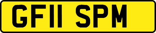 GF11SPM