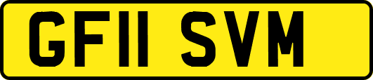 GF11SVM