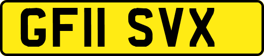 GF11SVX