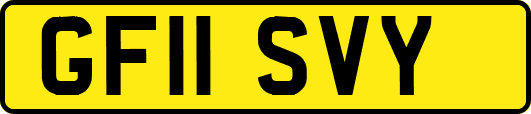 GF11SVY