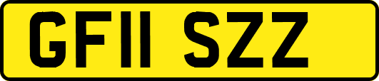 GF11SZZ