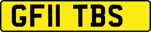 GF11TBS