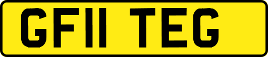 GF11TEG