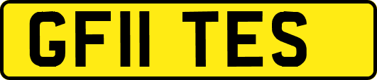GF11TES