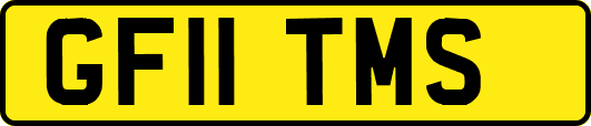 GF11TMS