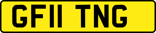 GF11TNG