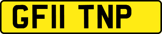 GF11TNP