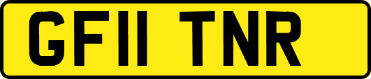 GF11TNR