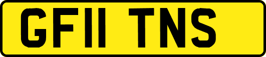 GF11TNS