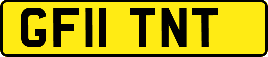 GF11TNT